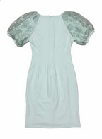 Nina Leonard Light Blue Dress with Embroidered Puff Sleeves XL