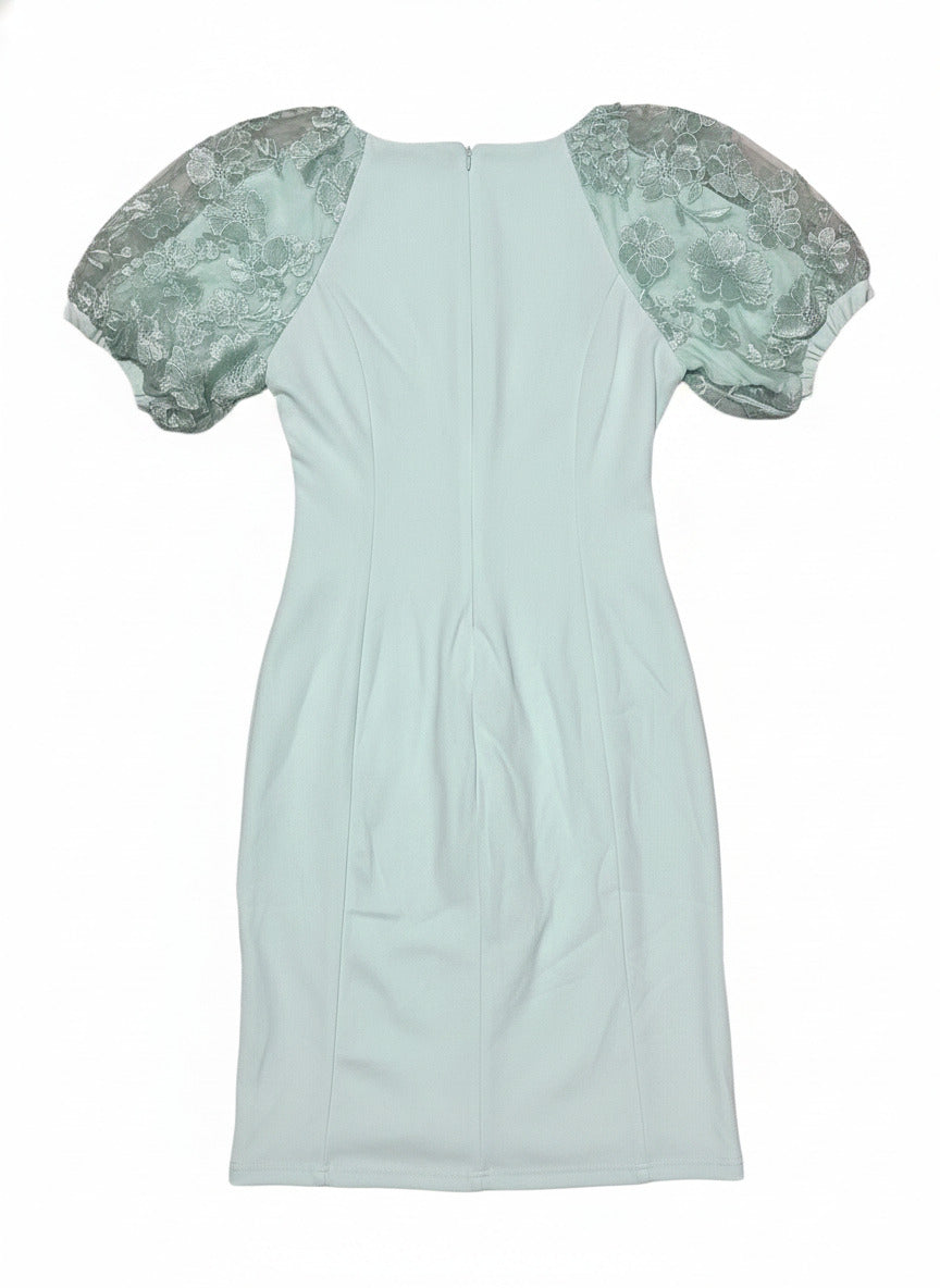 Nina Leonard Light Blue Dress with Embroidered Puff Sleeves XL