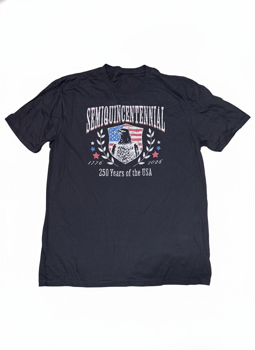 Gildan Softstyle Semiquincentennial 250 Years USA Graphic T-Shirt Large