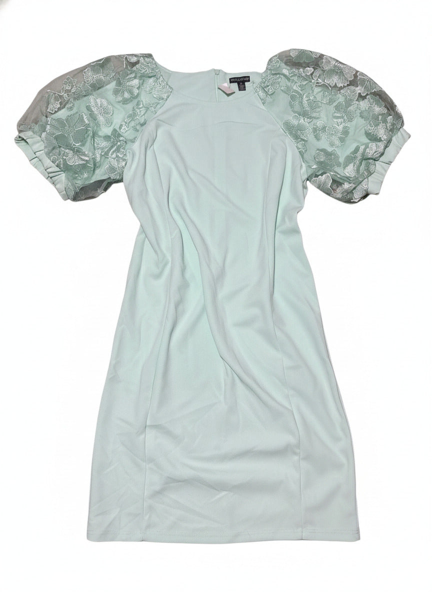 Nina Leonard Light Blue Dress with Embroidered Puff Sleeves XL