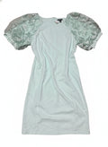 Nina Leonard Light Blue Dress with Embroidered Puff Sleeves XL